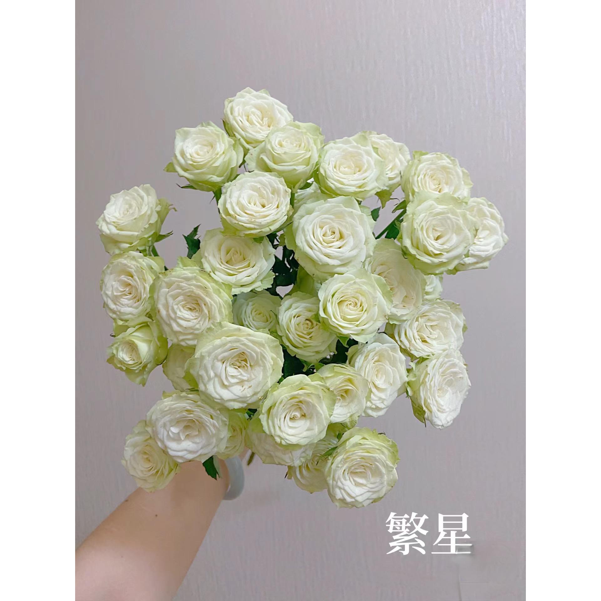 繁星多头泡泡玫瑰全场鲜花加入购物车两单包邮云基地鲜花直发