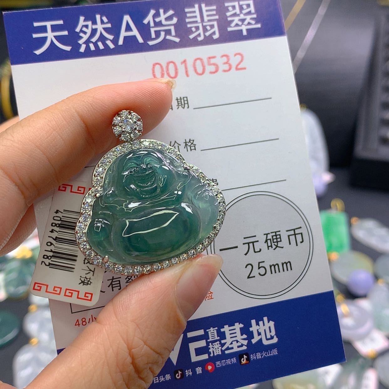 【闪购商品】翡翠颈饰未镶嵌