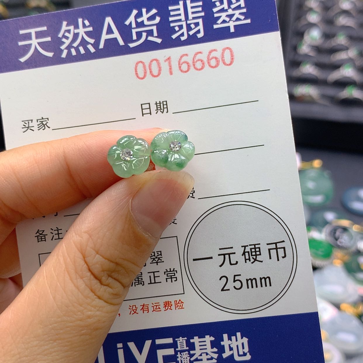 【闪购商品】翡翠颈饰未镶嵌