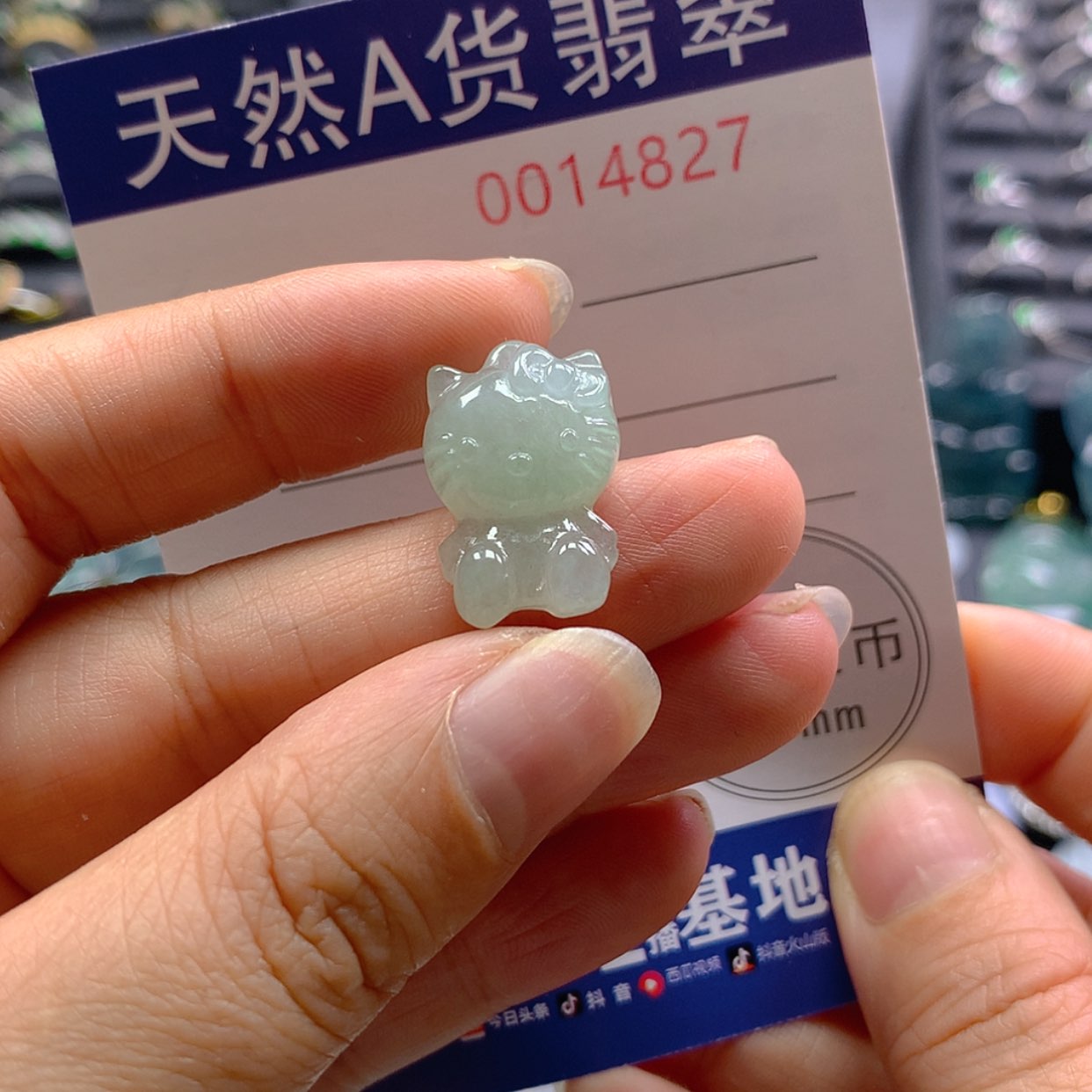 【闪购商品】翡翠颈饰未镶嵌