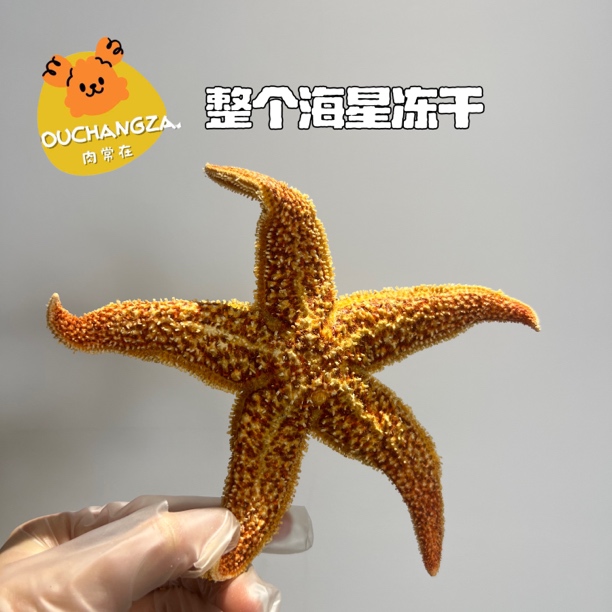 【海星冻干】肉常在超绝磨牙洁齿补充多元营养狗狗适用