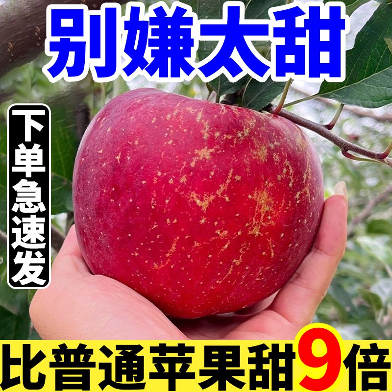【正宗】大凉山丑苹果现摘冰糖心富士苹果脆甜5斤/9斤整箱包邮发货