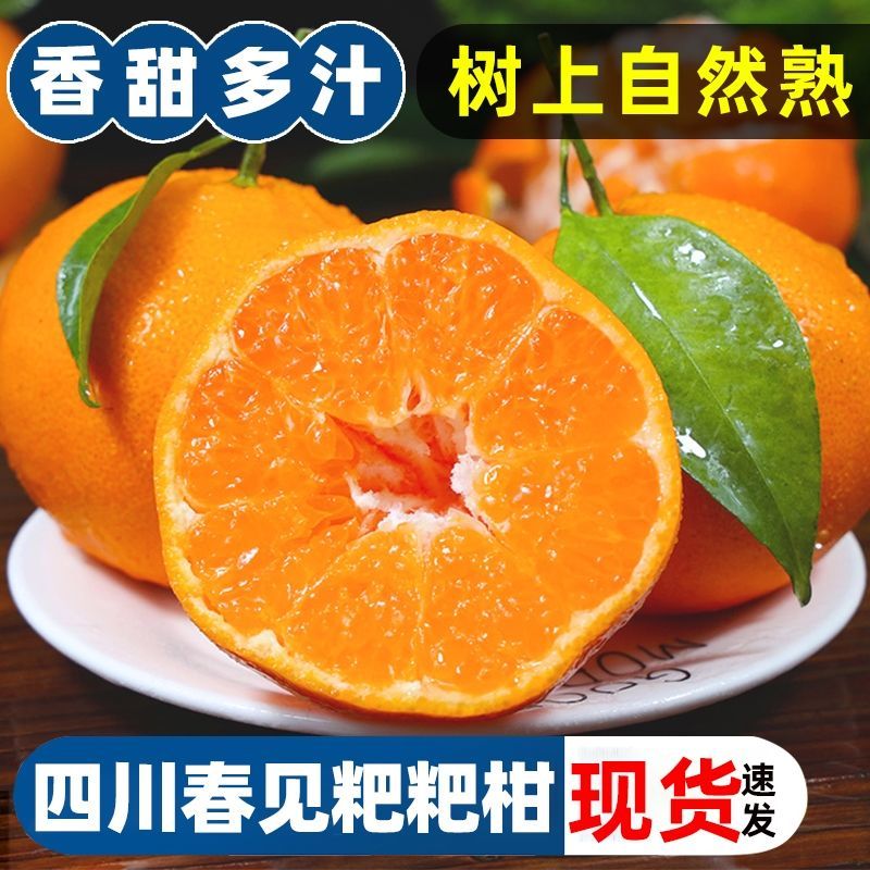 【1~9斤】春见耙耙柑正宗特级大果四川粑粑柑新鲜耙耙柑水果应季果