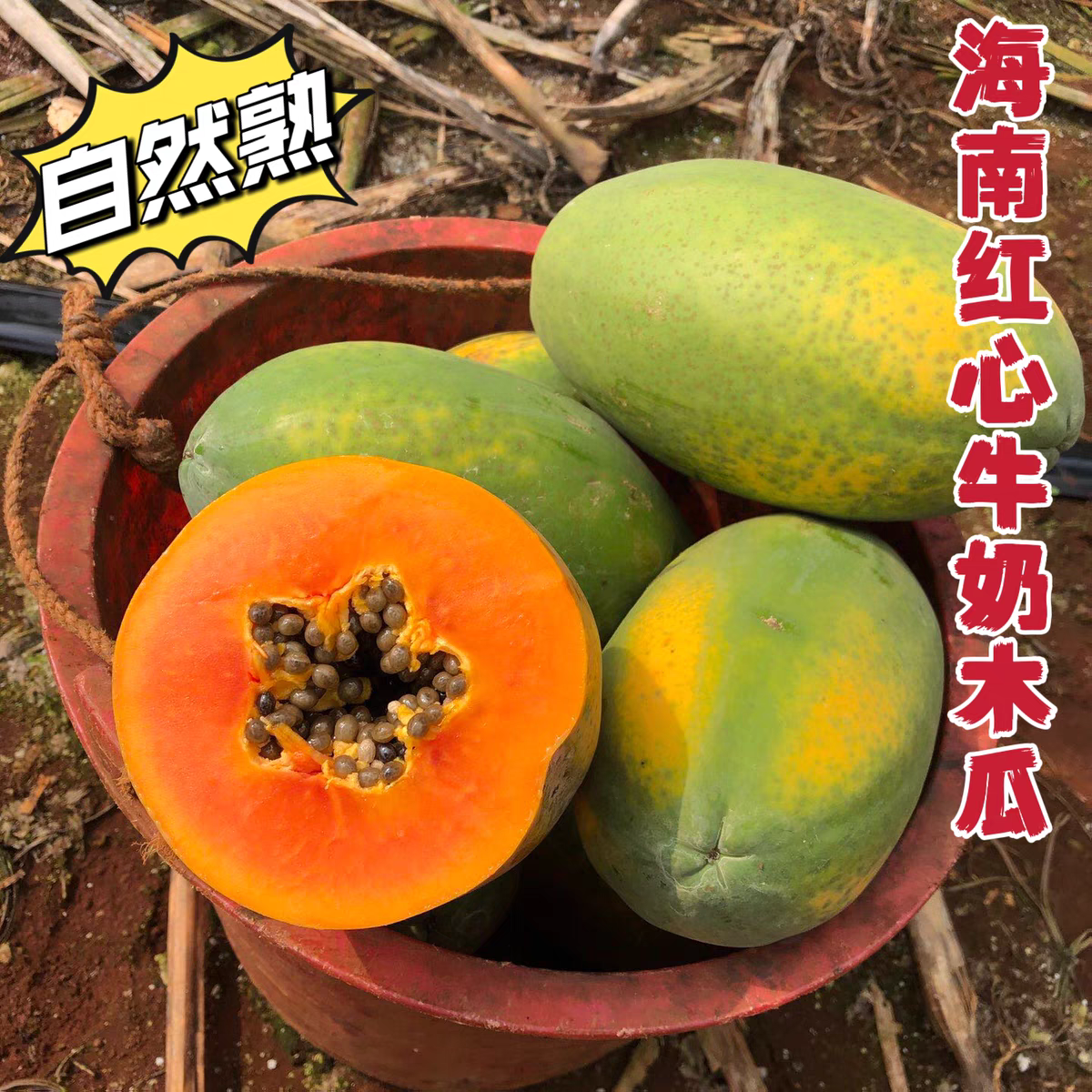 海南红心牛奶木瓜8斤顺丰包邮树上8成熟现摘现发冰糖心产妇可吃