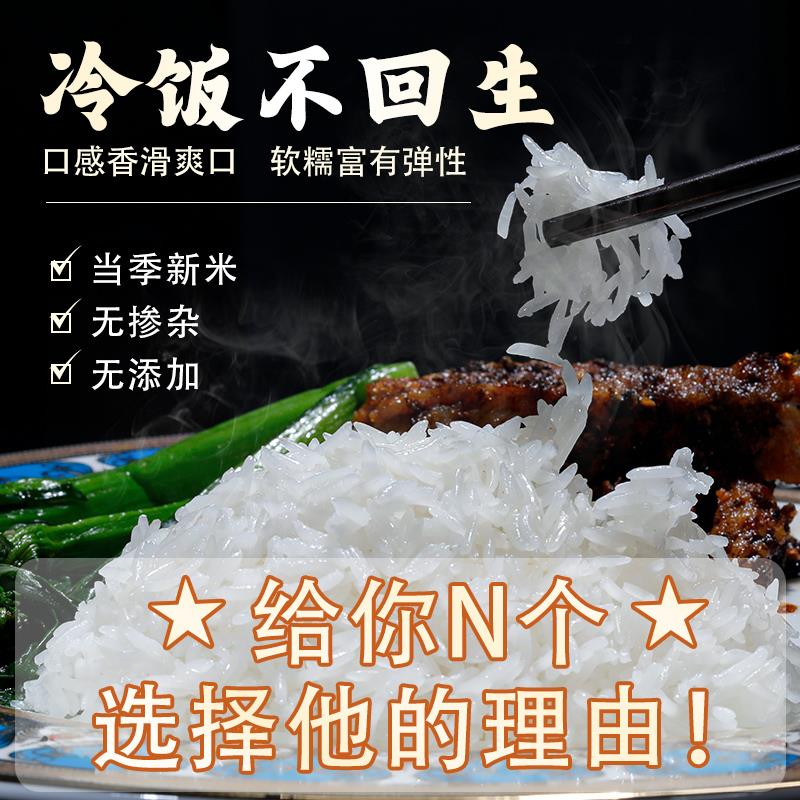 猫牙米泰国香米长粒香大米丝苗米煲仔饭专用米大米笋0g