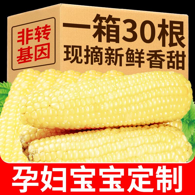 玉米新鲜香甜嫩黏白糯无糖精食品控糖孕妇孕期适合吃的代餐主食物