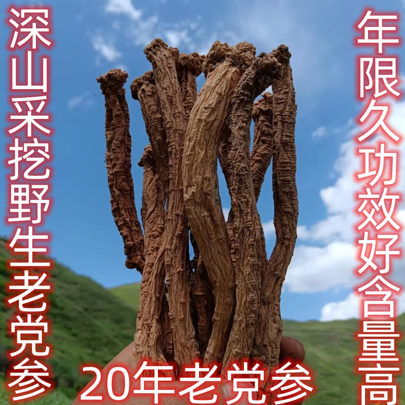 深山采挖野生老党参非种植无添加无硫熏
