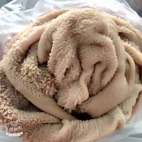 内蒙古零饲料跑滩羊毛肚3斤以上   生鲜肉