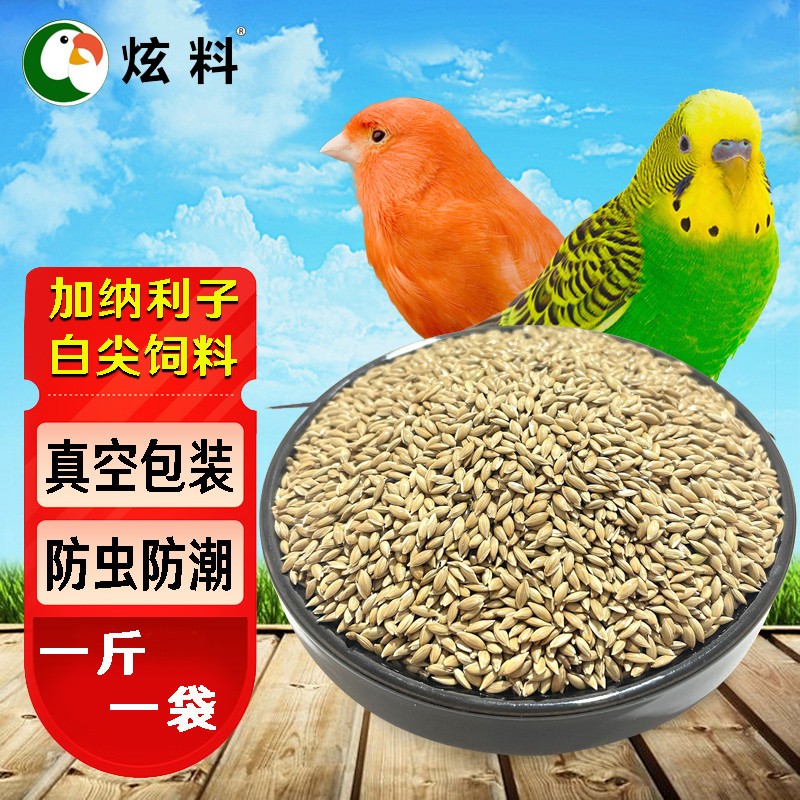炫料加纳利子金丝雀籽虎皮鹦鹉鸟食油尖粟白尖鸟粮鸟500克真空装