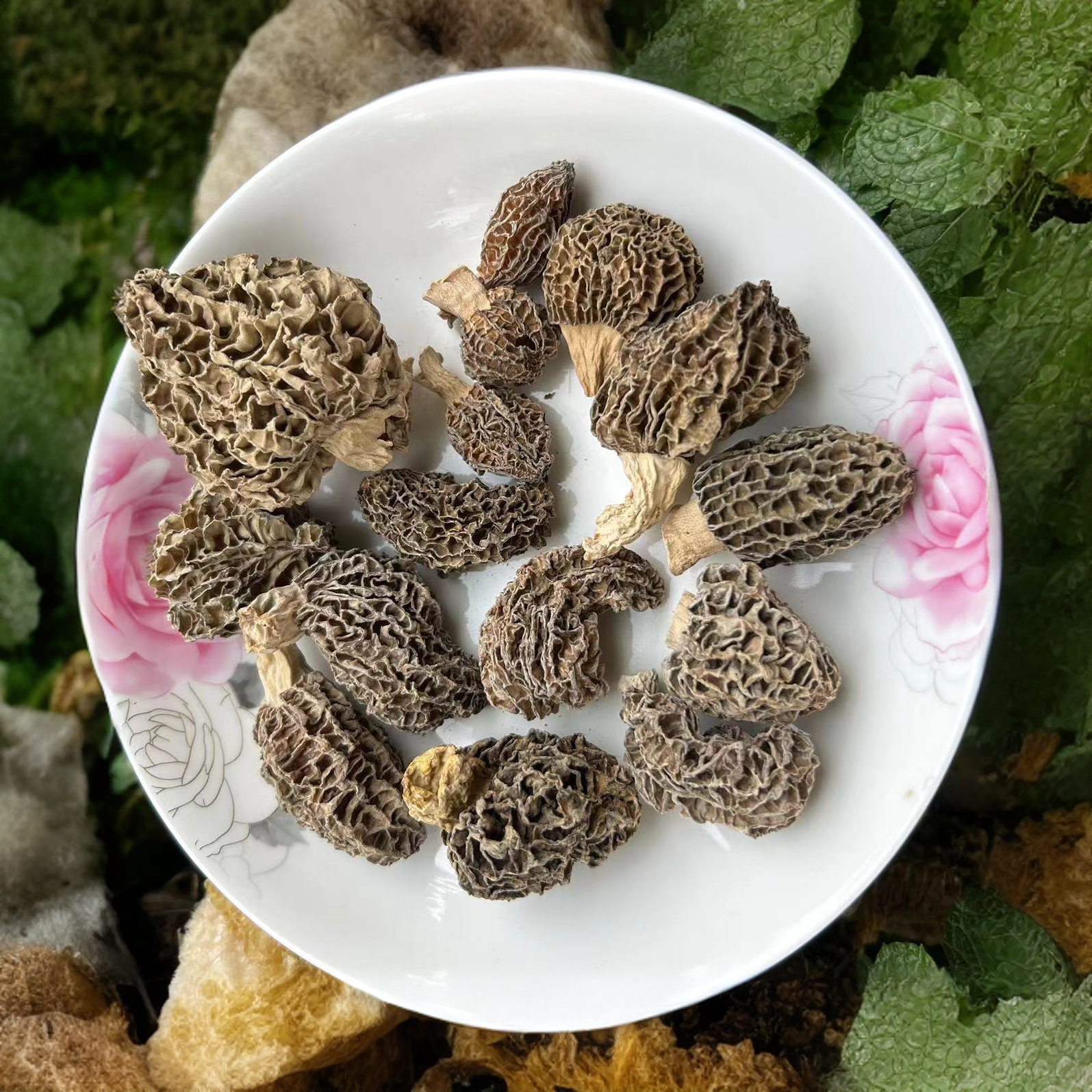 1羊、肚、菌云南野生菌，农夫山珍、食用农产品1袋  广东煲汤      