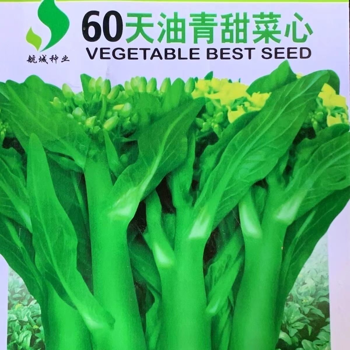 60天油青甜菜心种子阳台盆栽夏秋四季播种种籽菜心菜苔农家蔬菜孑