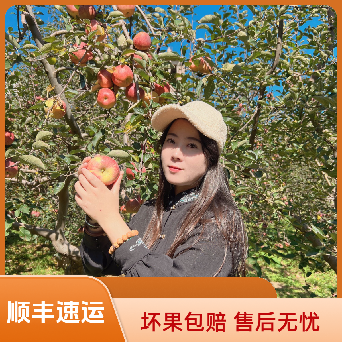 【晴书推荐 坏果包赔】云南昭通红富士冰糖心丑苹果4斤/5斤/9斤