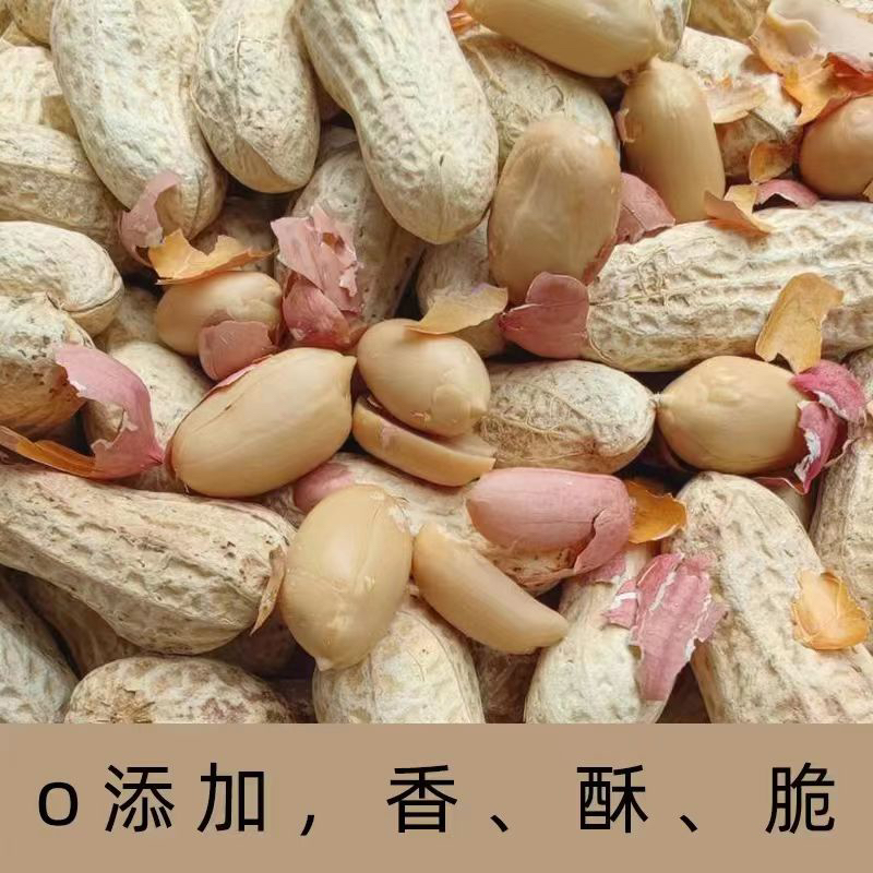 贵州遵义农家炒花生2斤包邮