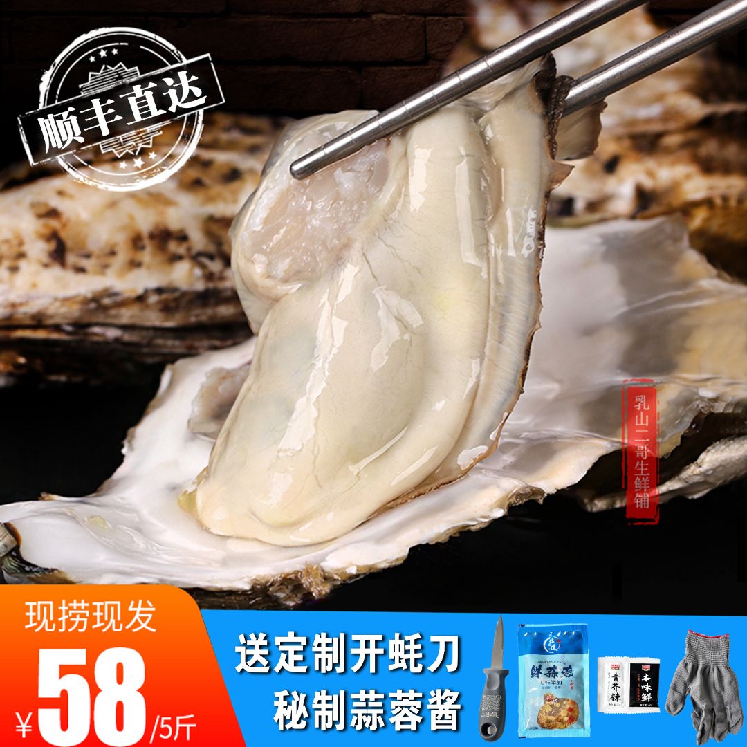 乳山生蚝五斤装 乳山发货 顺丰/京东包邮