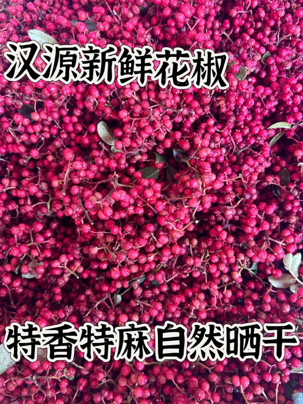 四川雅安汉源花椒又香又麻现摘现发自做花椒油花椒粉干花椒