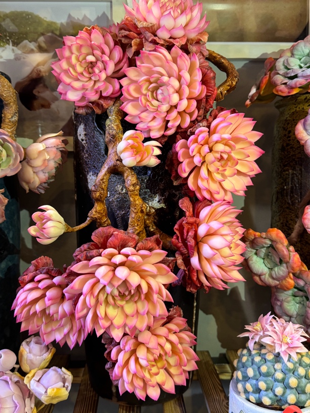 手工树脂粘土仿真多肉（9个头广寒宫）不含盆