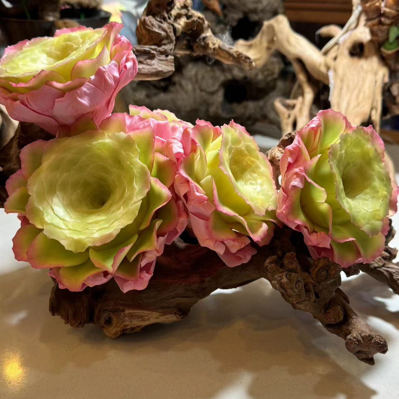 2号贵宾专拍，树脂手工仿真多肉一物一拍 满88元包邮