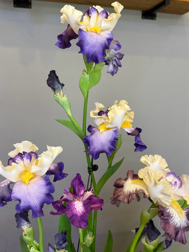 德国大鸢尾（粘土手工制作）