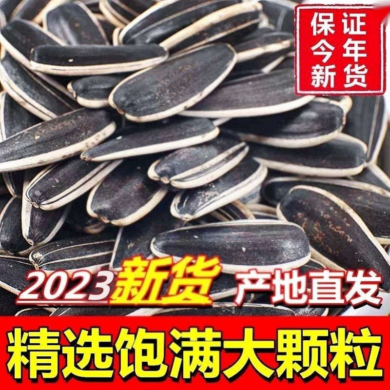 内蒙生瓜子葵花籽新货新鲜原味葵瓜子批发特大香瓜子大粒炒货零食