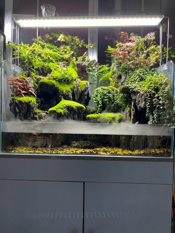 《臻享自然》80 ×45×45水陆缸家居摆件懒人生态加湿超白鱼缸