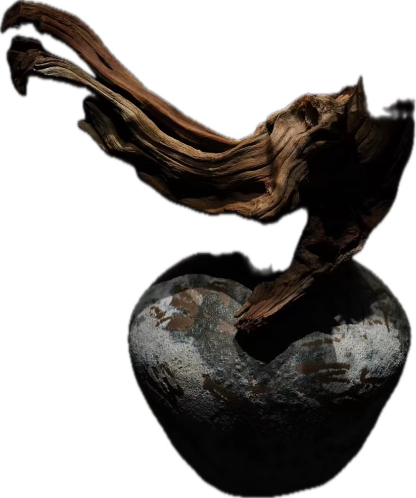 沉木 紫柚木 鱼缸造景素材 水族造景沉木（多链接一物一拍）