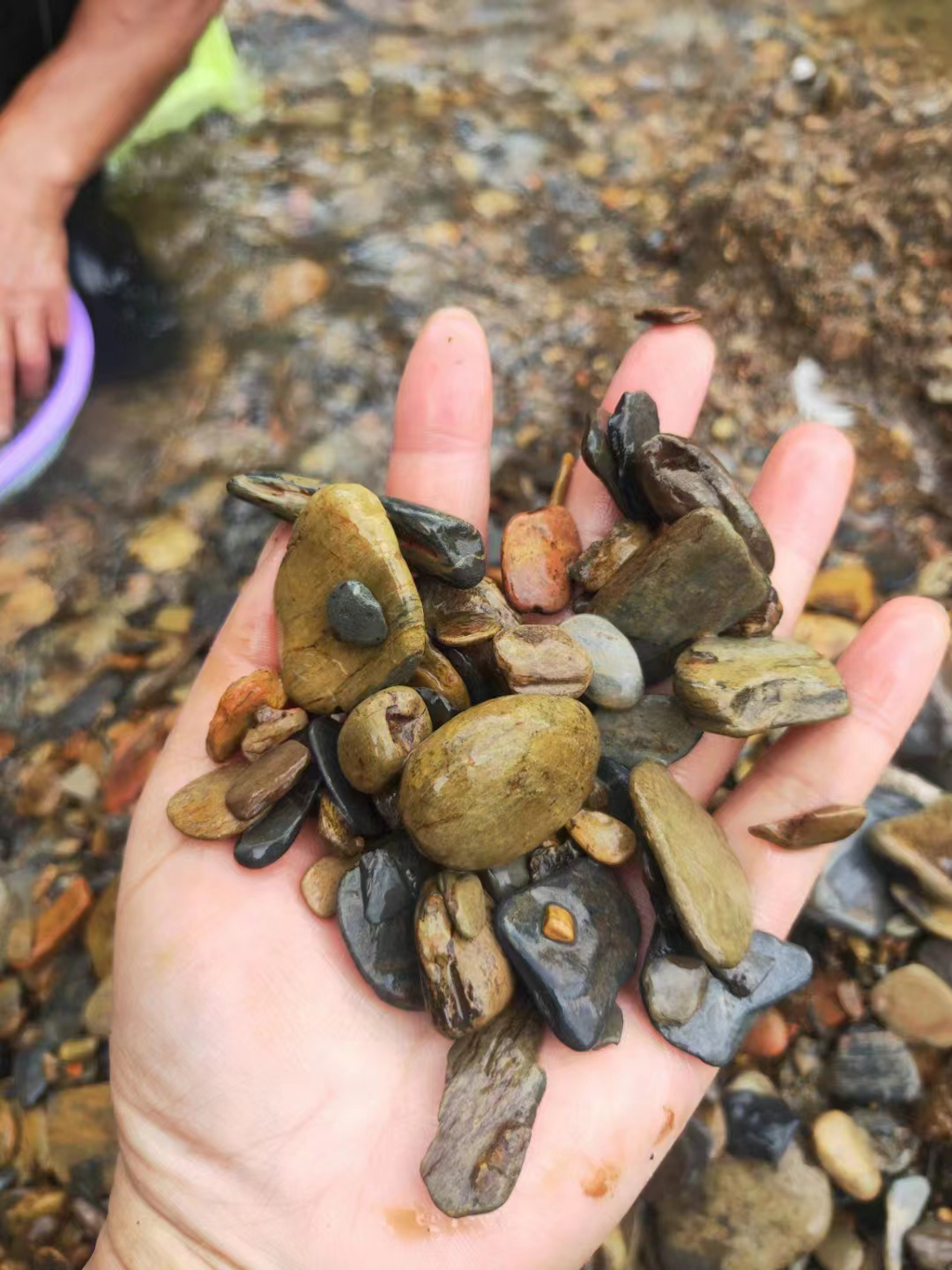造景  原生缸 溪流缸 溪流石 五彩石 溪流片石（实物以直播间为准）