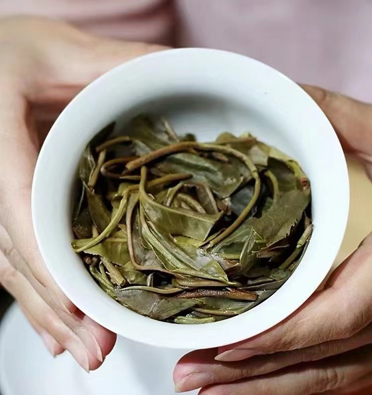 达人雷子专属链接普洱茶