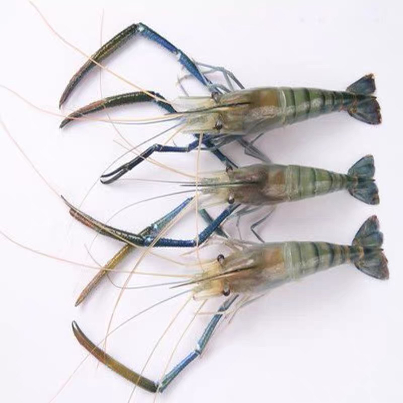 【长春同城】断氧罗氏虾 3斤（保鲜不保活）