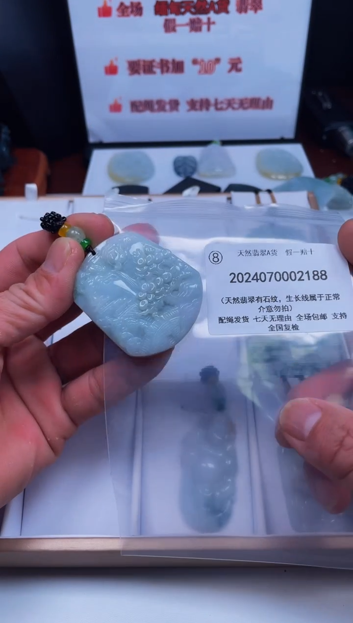 【闪购商品】翡翠颈饰未镶嵌闪购商品8号店2024070026