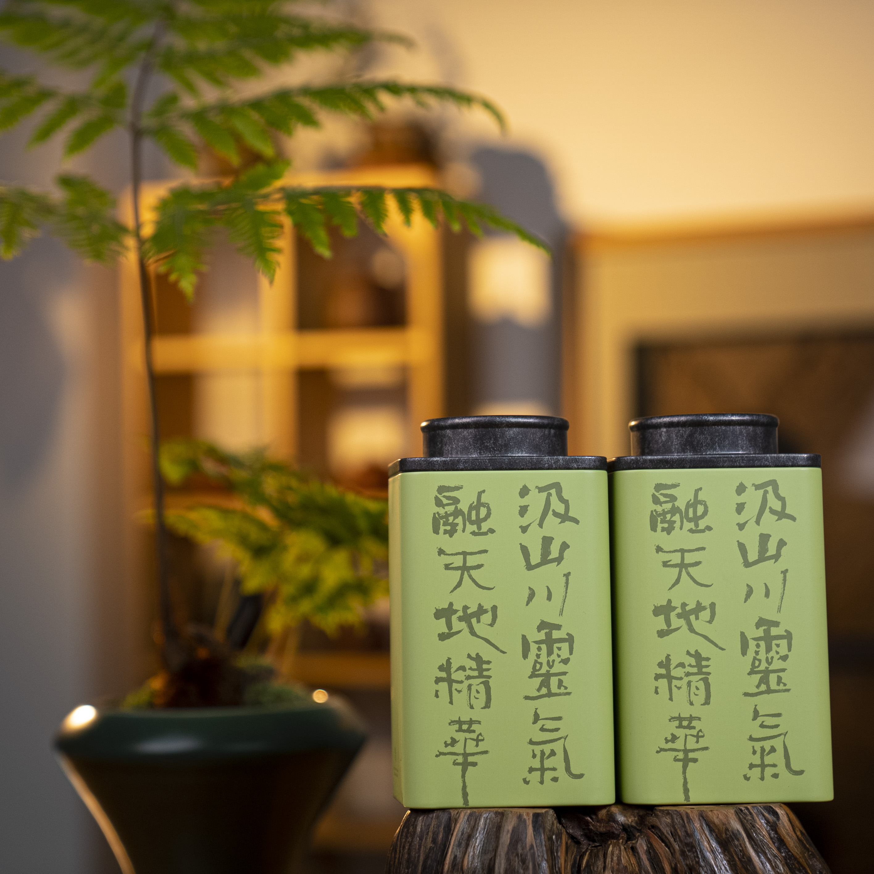 茉莉花茶-绿色盒装