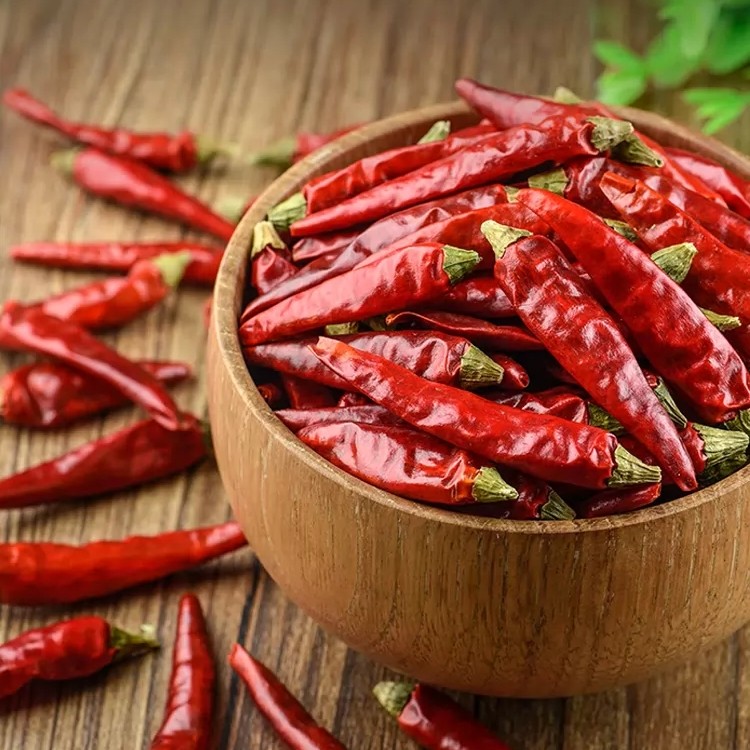 2024河南精品干辣椒自产自销产地直供新辣椒手工挑选