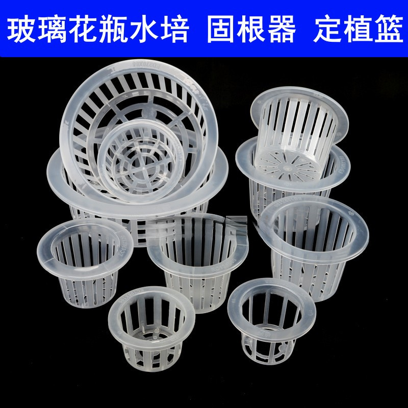 无土栽培定植篮水培蔬菜花卉固根器多肉兰花生根盆玻璃花瓶固定架
