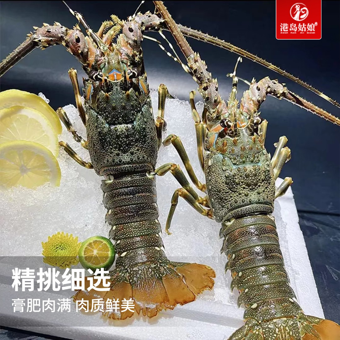 小青龙虾6-7两/只 5只装 活冻锁鲜 顺丰冷链包邮 生猛海鲜捕捞