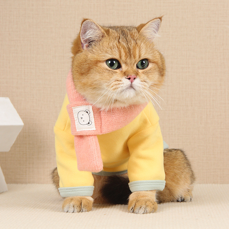 2022新款德绒狗狗衣服马卡龙配色小型犬带毛线围巾猫咪两脚衣g