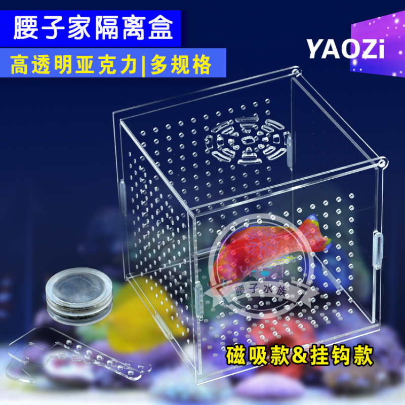 腰子家磁吸挂钩亚克力隔离盒鱼缸斗鱼孵化繁殖迷你房多格单格包邮