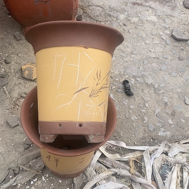 紫砂20CM（含）-50CM（不含）