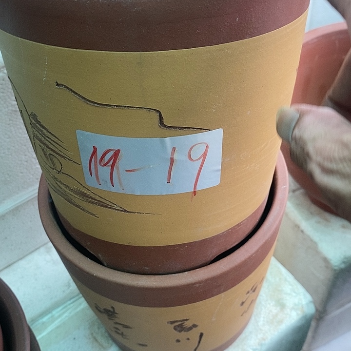 紫砂20CM（含）-50CM（不含）