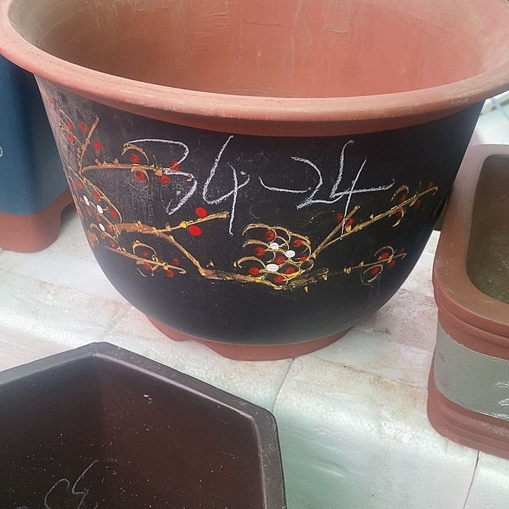 紫砂20CM（含）-50CM（不含）