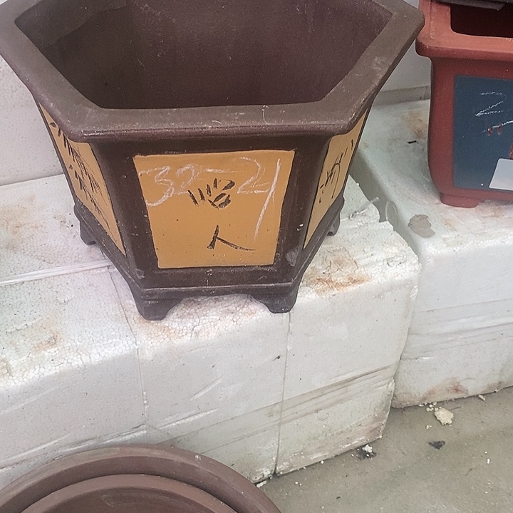 紫砂20CM（含）-50CM（不含）