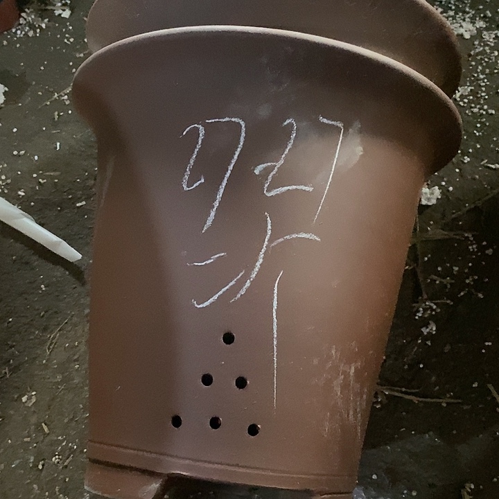 紫砂20CM（含）-50CM（不含）