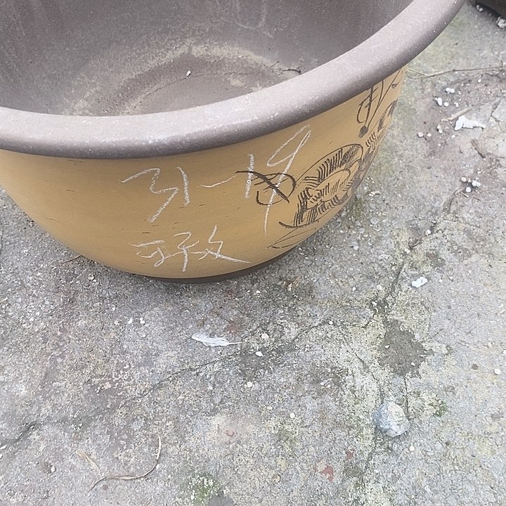 紫砂20CM（含）-50CM（不含）