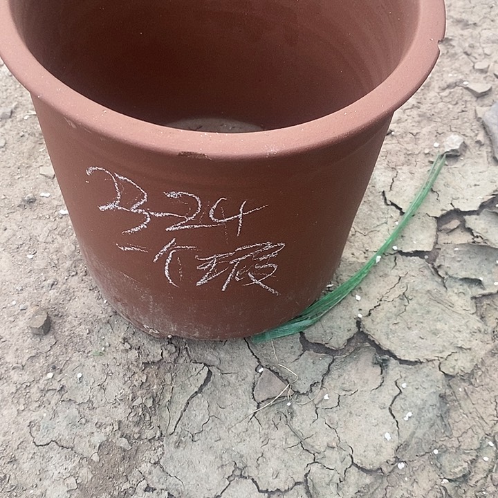 紫砂20CM（含）-50CM（不含）