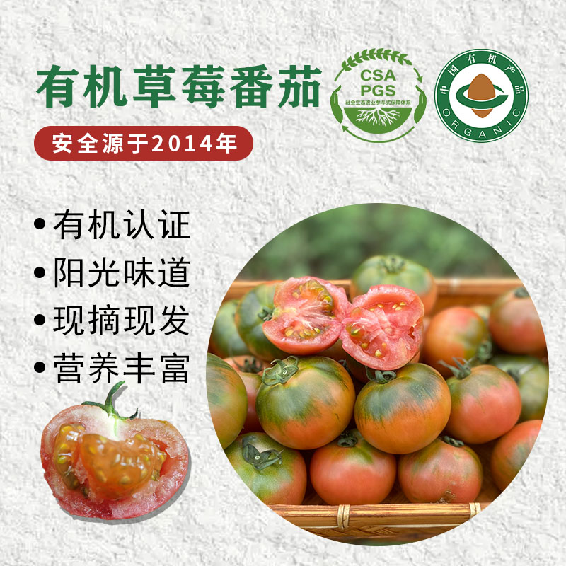 草莓番茄·净含量4.5斤·云南·梓盟