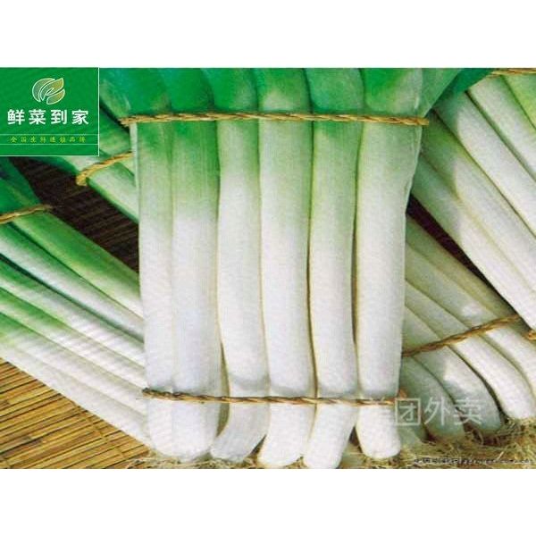精选大葱  约1000g