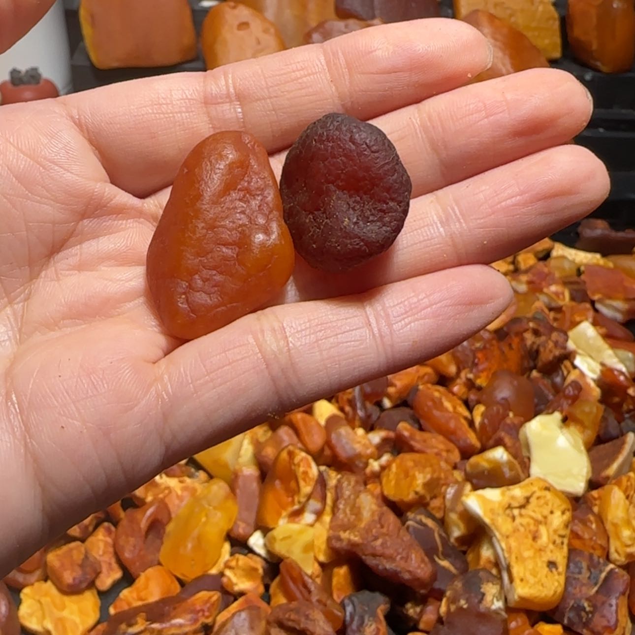 【闪购商品】定制琥珀未镶嵌何*