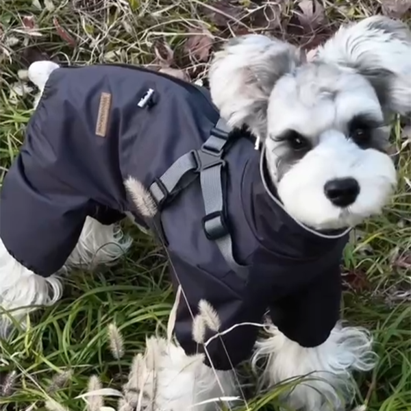 【汪叽咪】狗狗四腿雨衣防风胸背一体小型犬雨衣狗狗狗狗雨衣冲锋衣