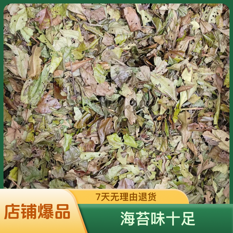 2023年虫咬茶纯荒野福鼎白茶管阳茶高山茶抹茶香海苔味散茶