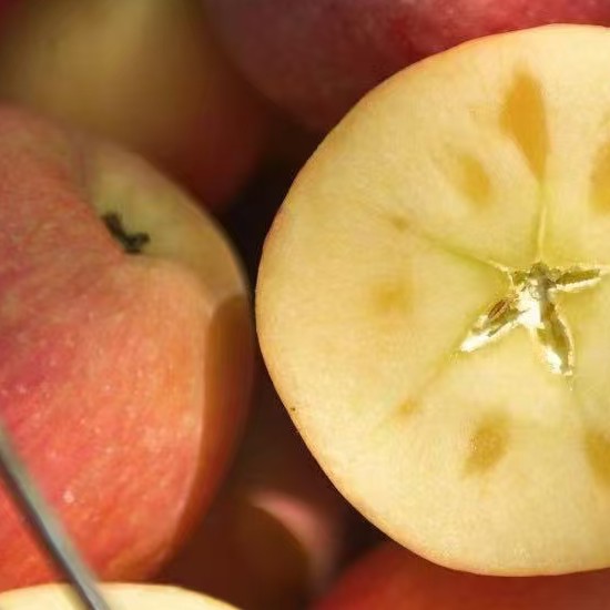 南墙小果【顺丰】新疆阿克苏冰糖心苹果新鲜红富士脆甜