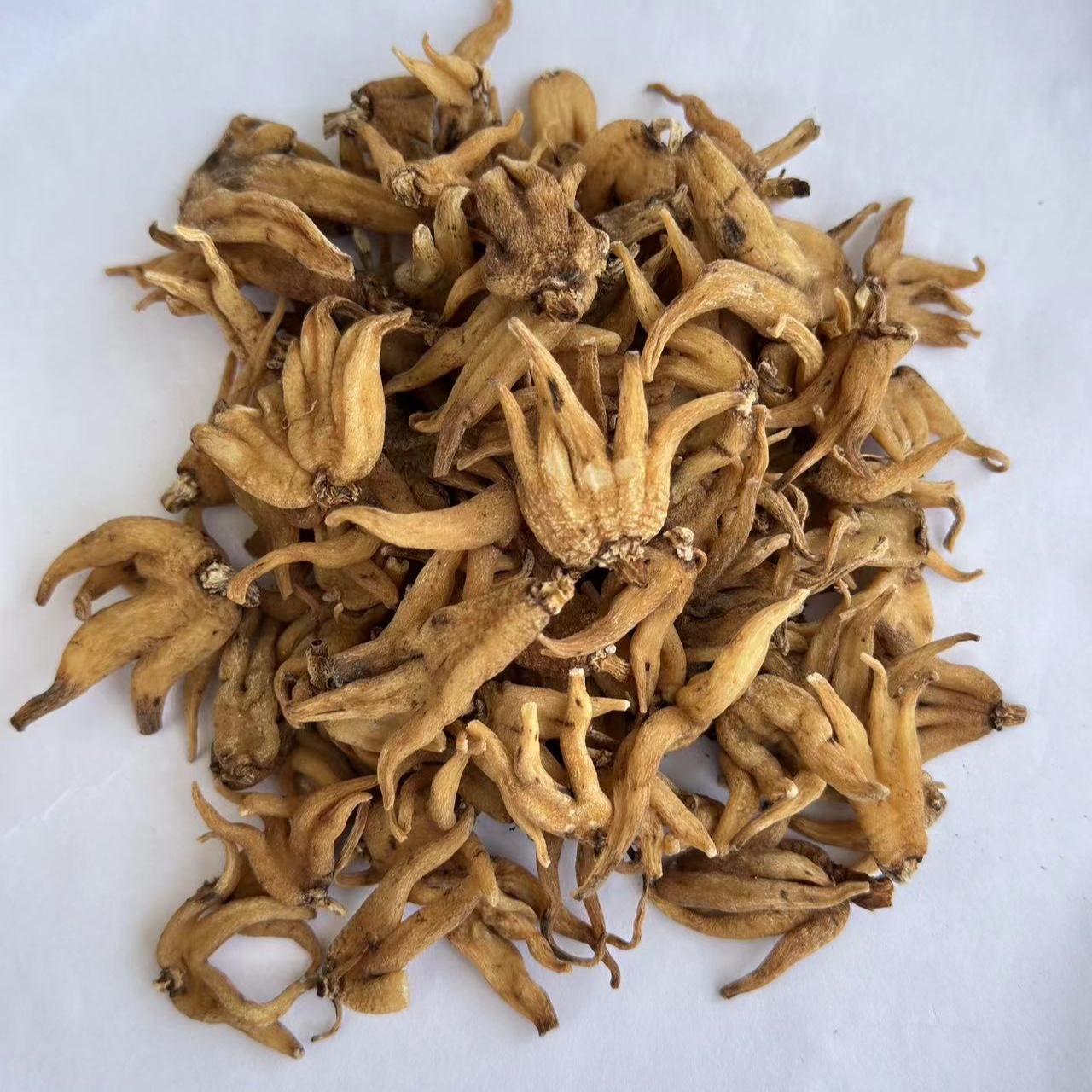 【小雪収好货】现-收土特产 佛-手-参100克-500克食用农产品