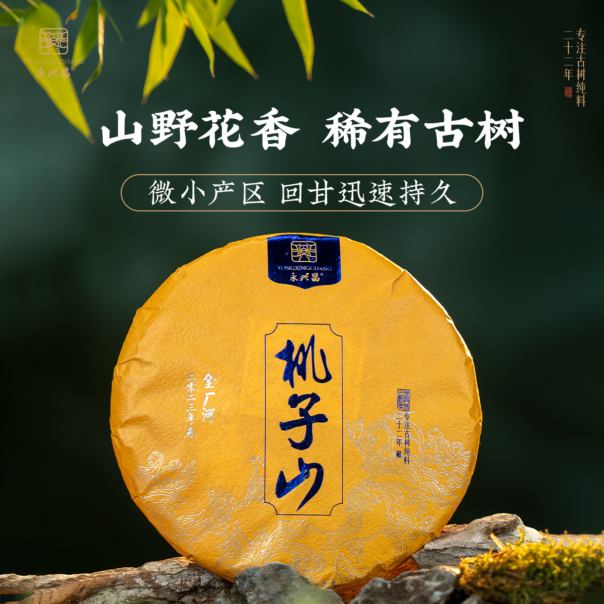 2023桃子山357g云南普洱生茶森林古树纯料头春头采易武国有林春茶
